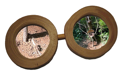 ウッディー眼鏡